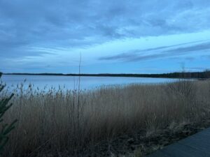IMG 20240219 WA0011